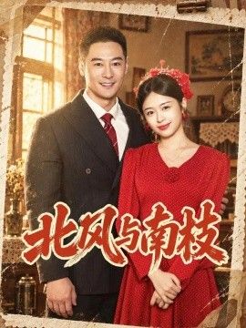 北风与南枝封面图