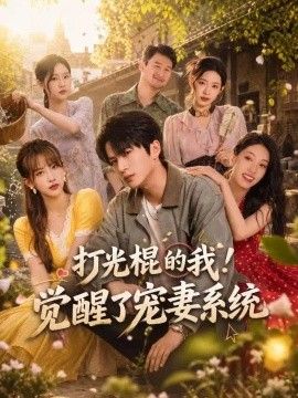 打光棍的我！觉醒了宠妻系统封面图