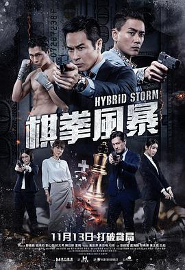 《棋拳风暴国语 4K》海报