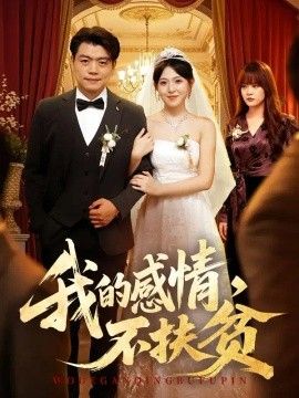 我的感情，不扶贫封面图