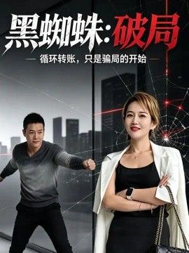 黑蜘蛛：破局封面图