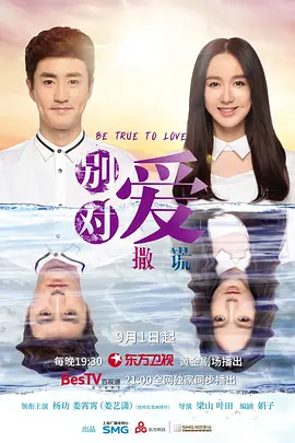 《请对我说谎》海报