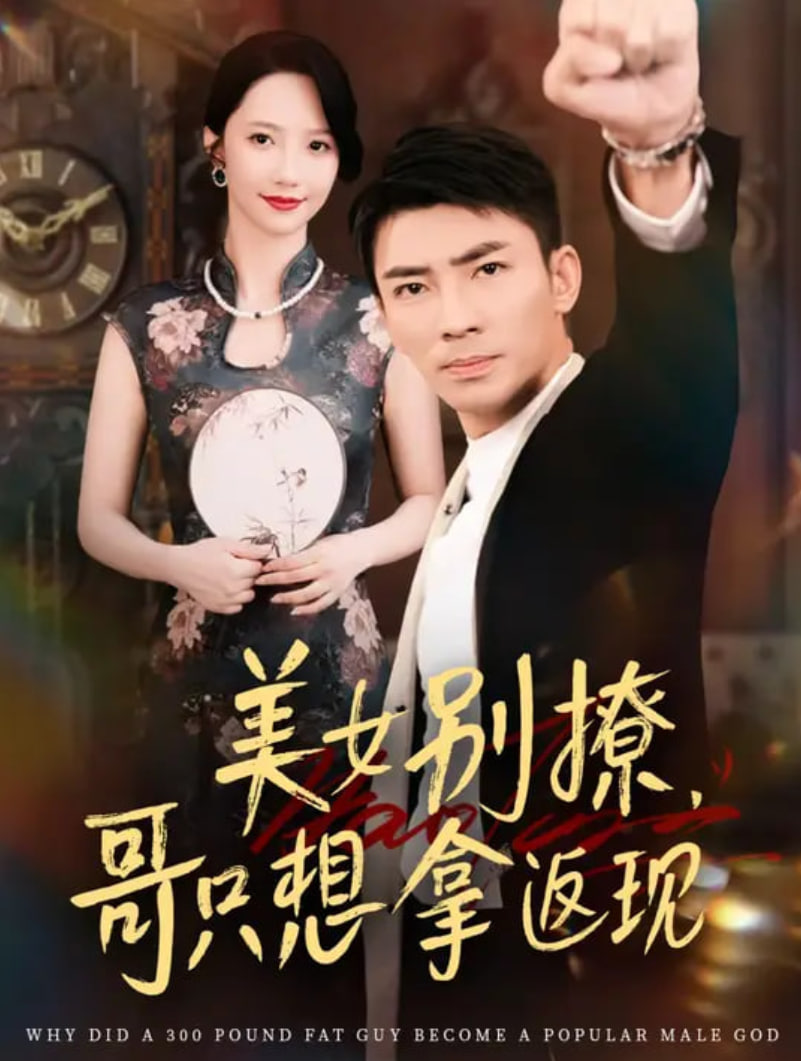 美女别撩哥只想拿返现 海报