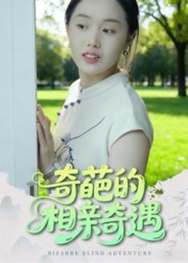 奇葩的相亲奇遇 真人剧海报