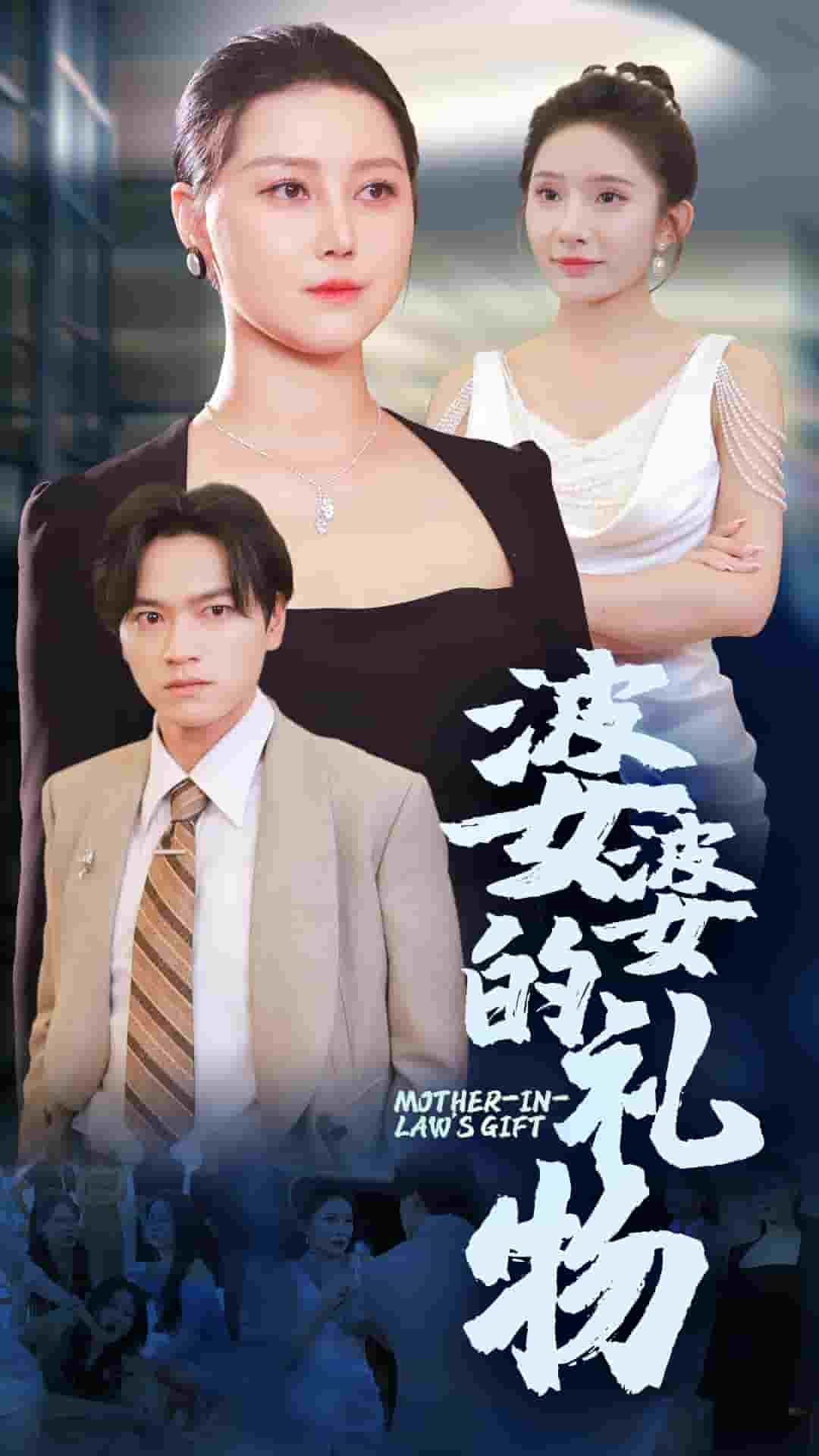 婆婆的礼物 海报