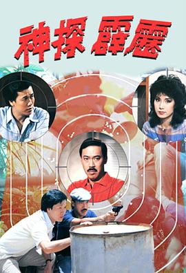 神探霹雳封面图