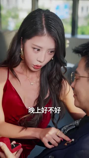 老公把车借给初恋 真人剧海报