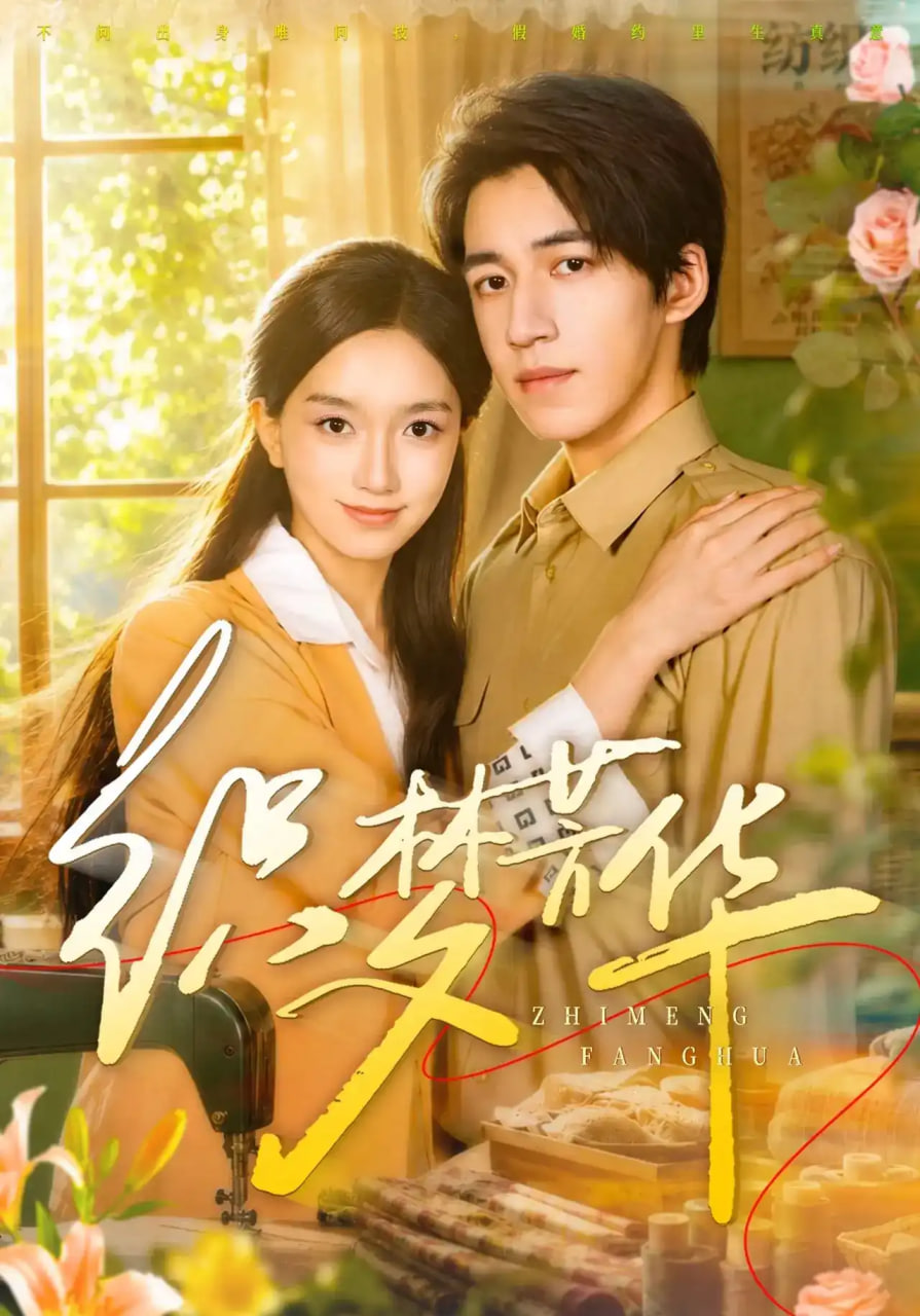 《织梦芳华》海报