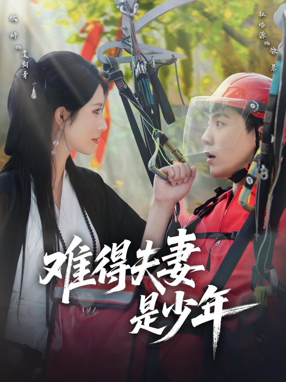 难得夫妻是少年 真人剧海报