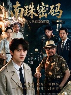 南珠密码封面图
