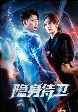 隐身侍卫 海报