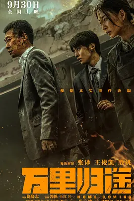 万里归途[电影解说]