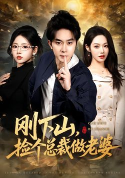 刚下山捡个总裁做老婆