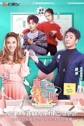 真心大冒险封面图