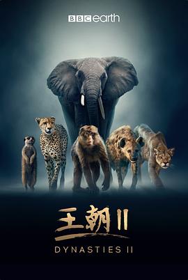 王朝 中配版