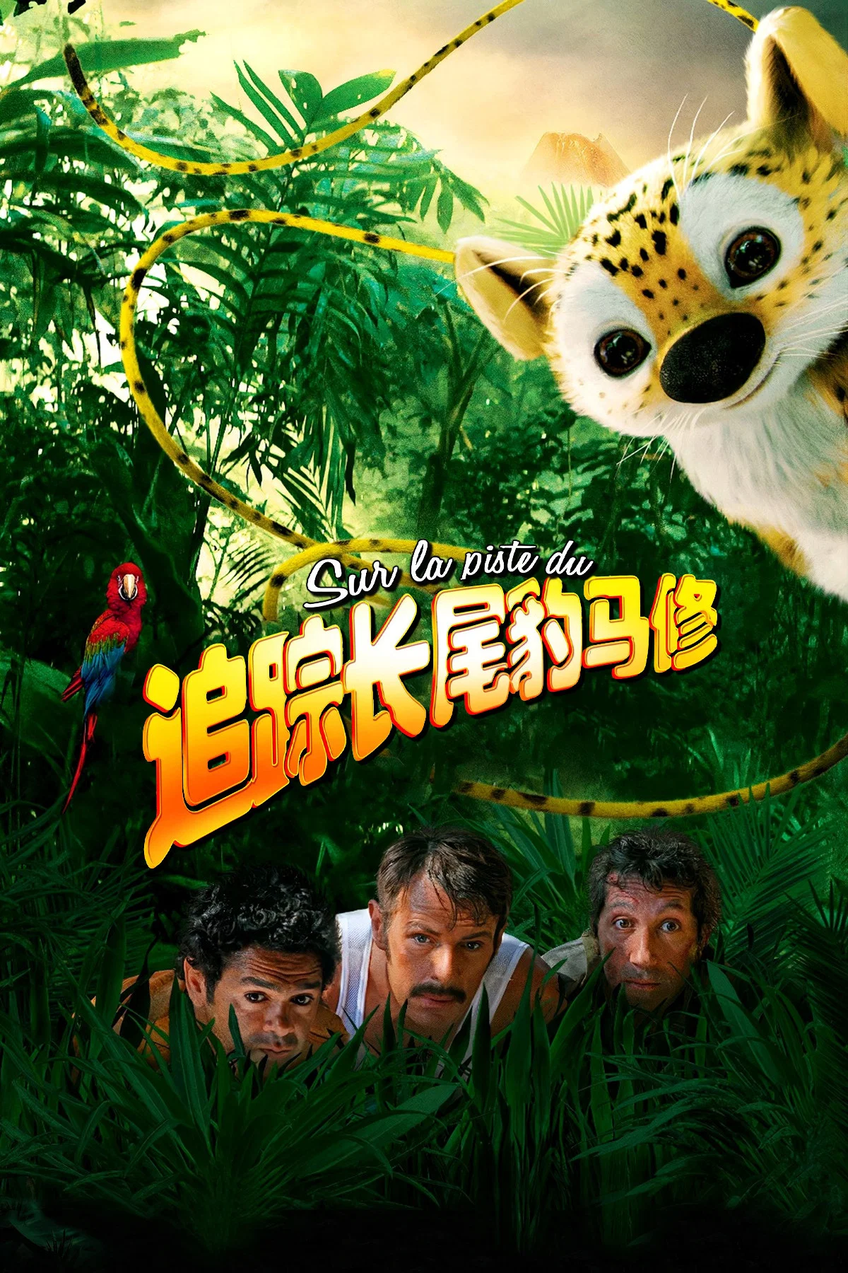 追踪长尾豹马修