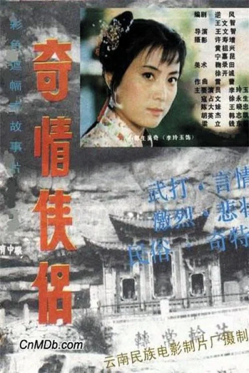 《奇情侠侣》海报