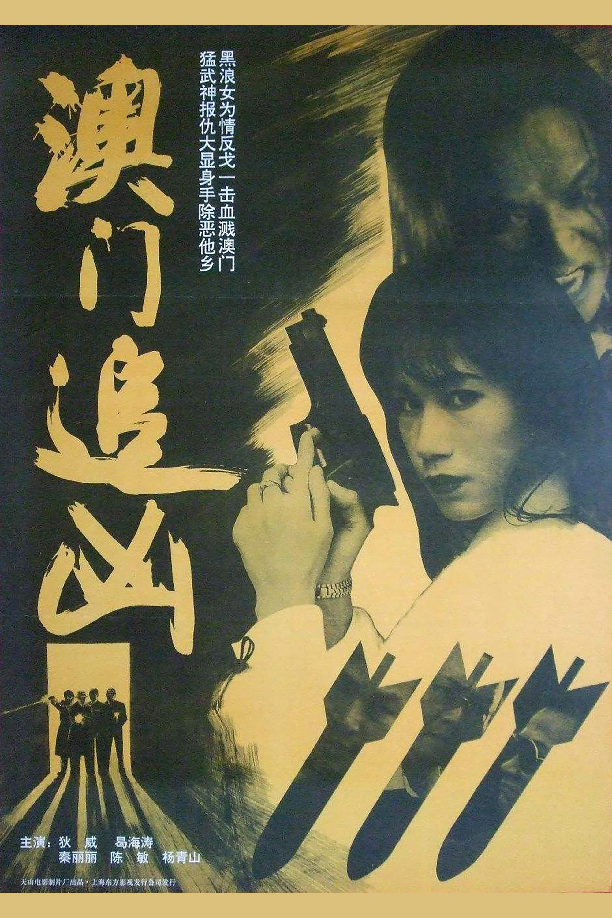 《澳门追凶》海报
