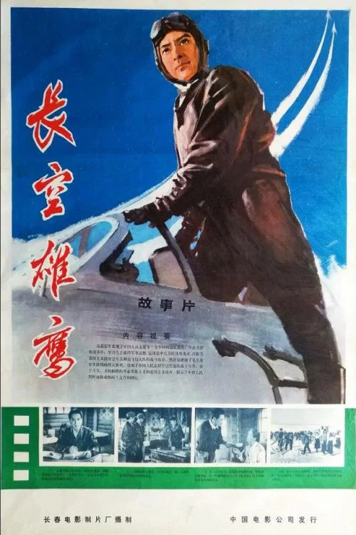 《长空雄鹰》海报