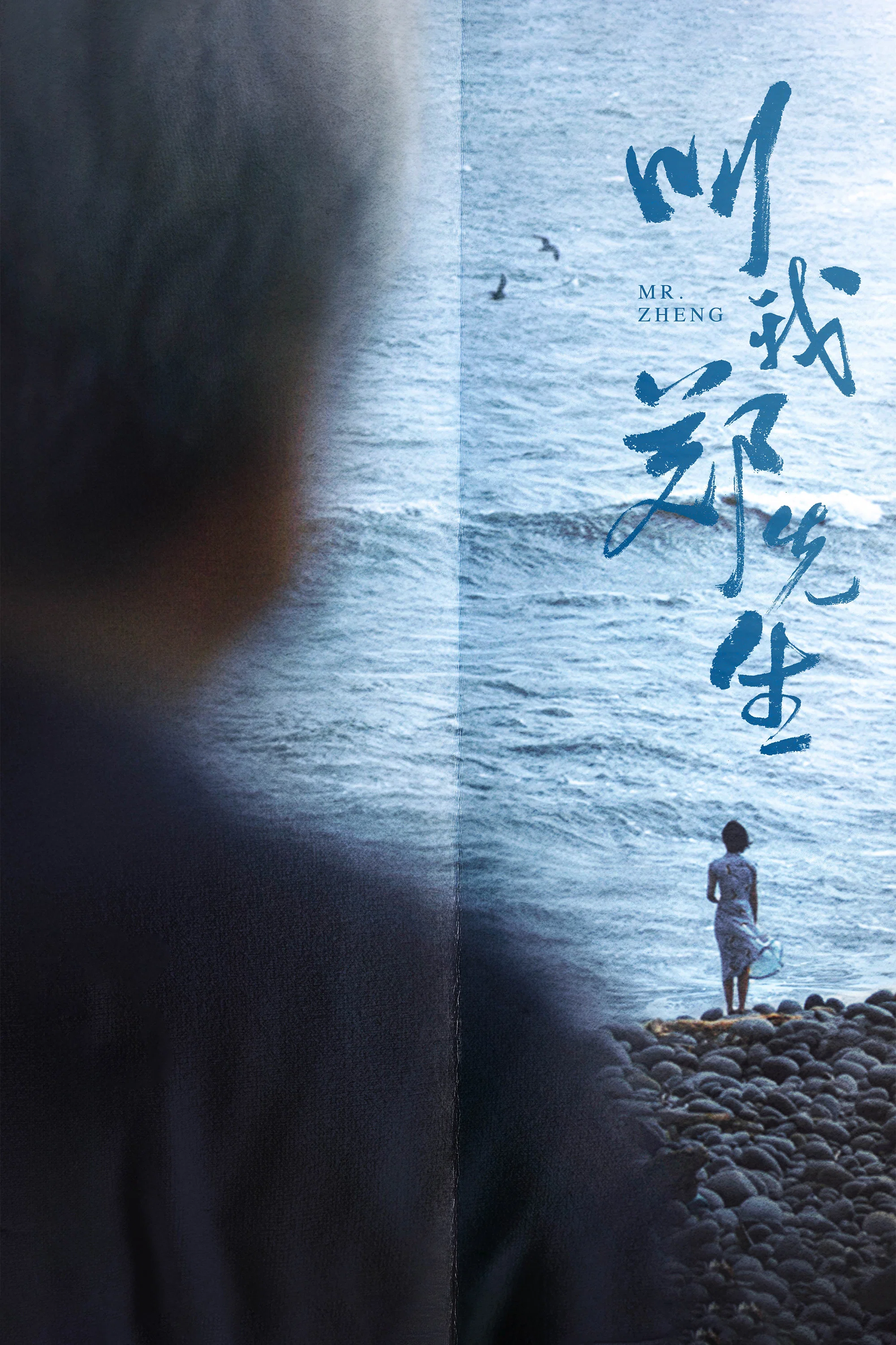 《叫我郑先生》海报