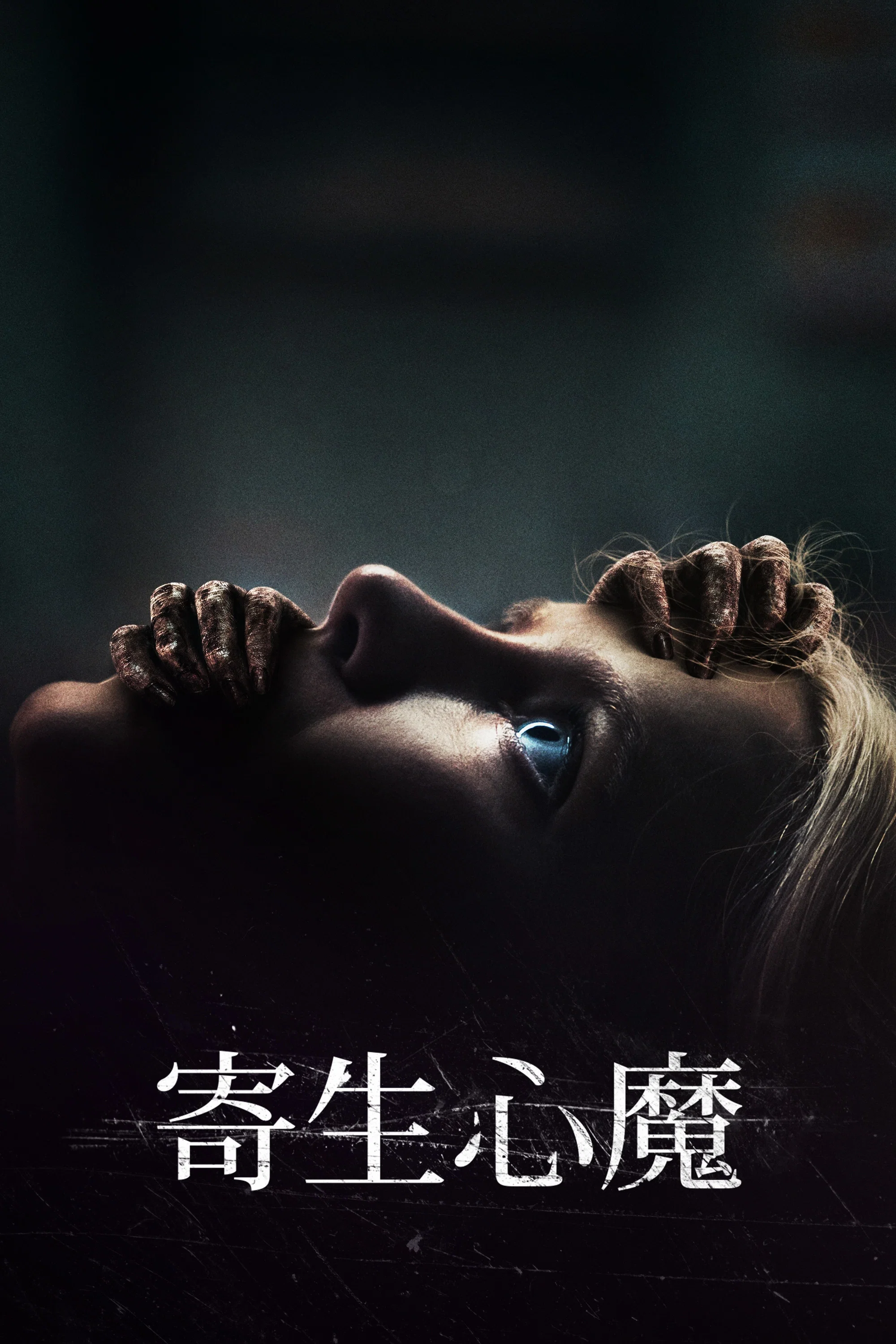 《附加物》海报