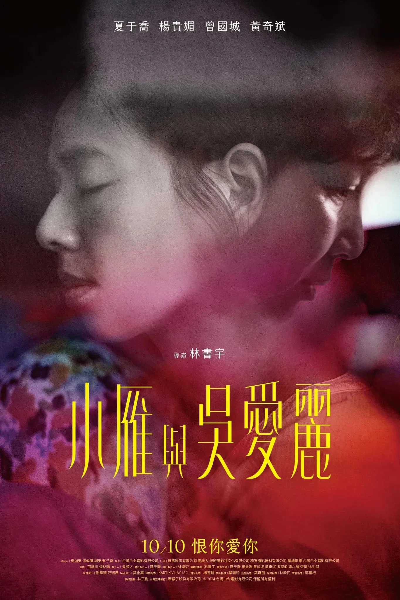 《小雁与吴爱丽》海报