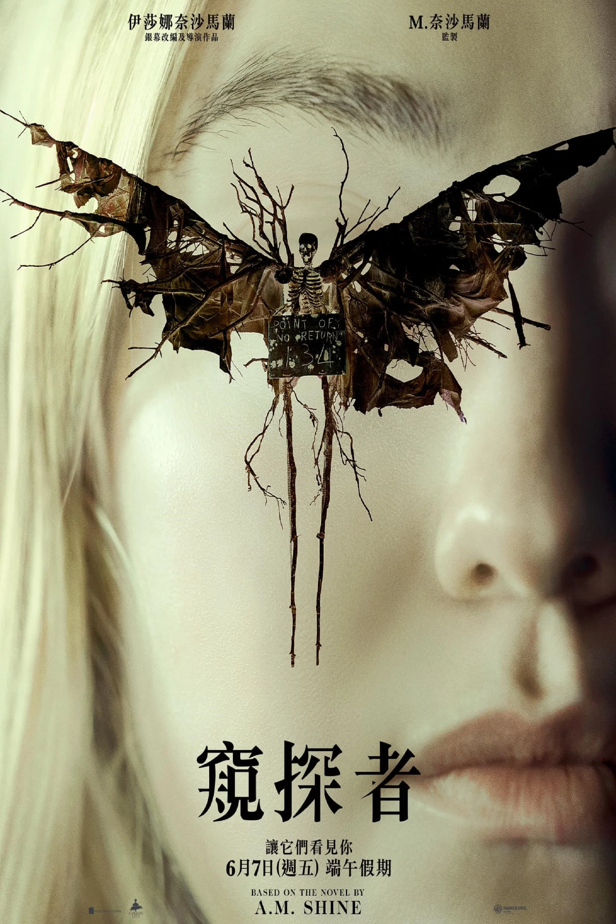 《神秘窥视》海报