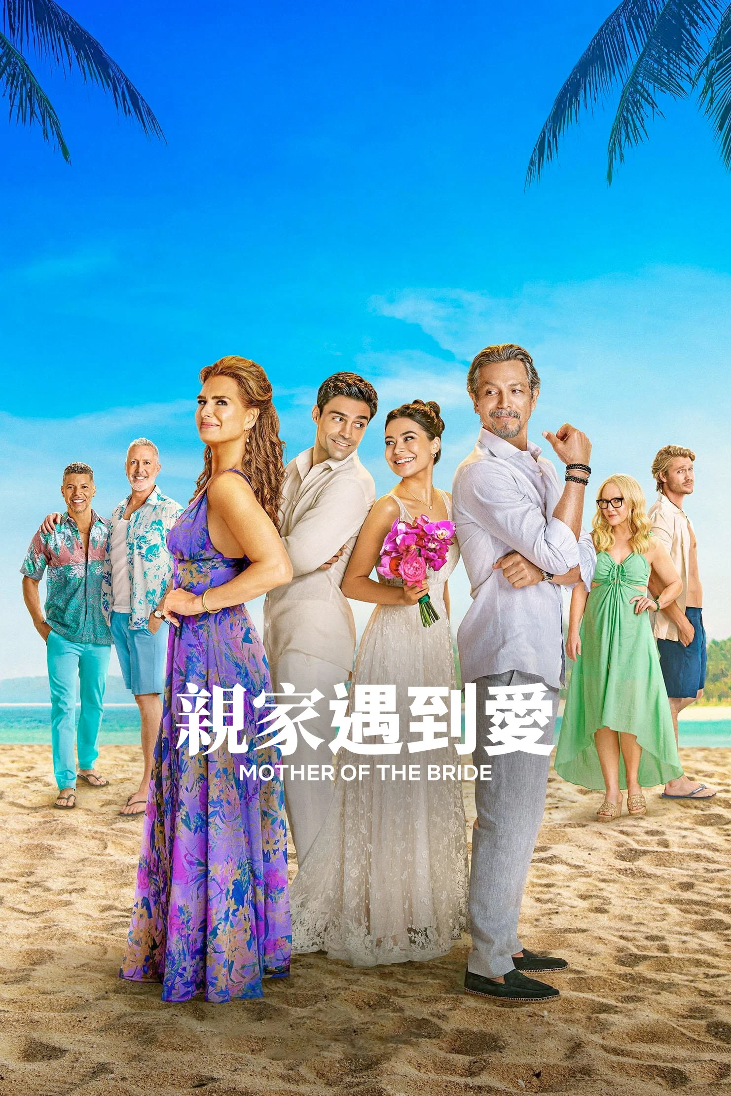《冤家变亲家》海报