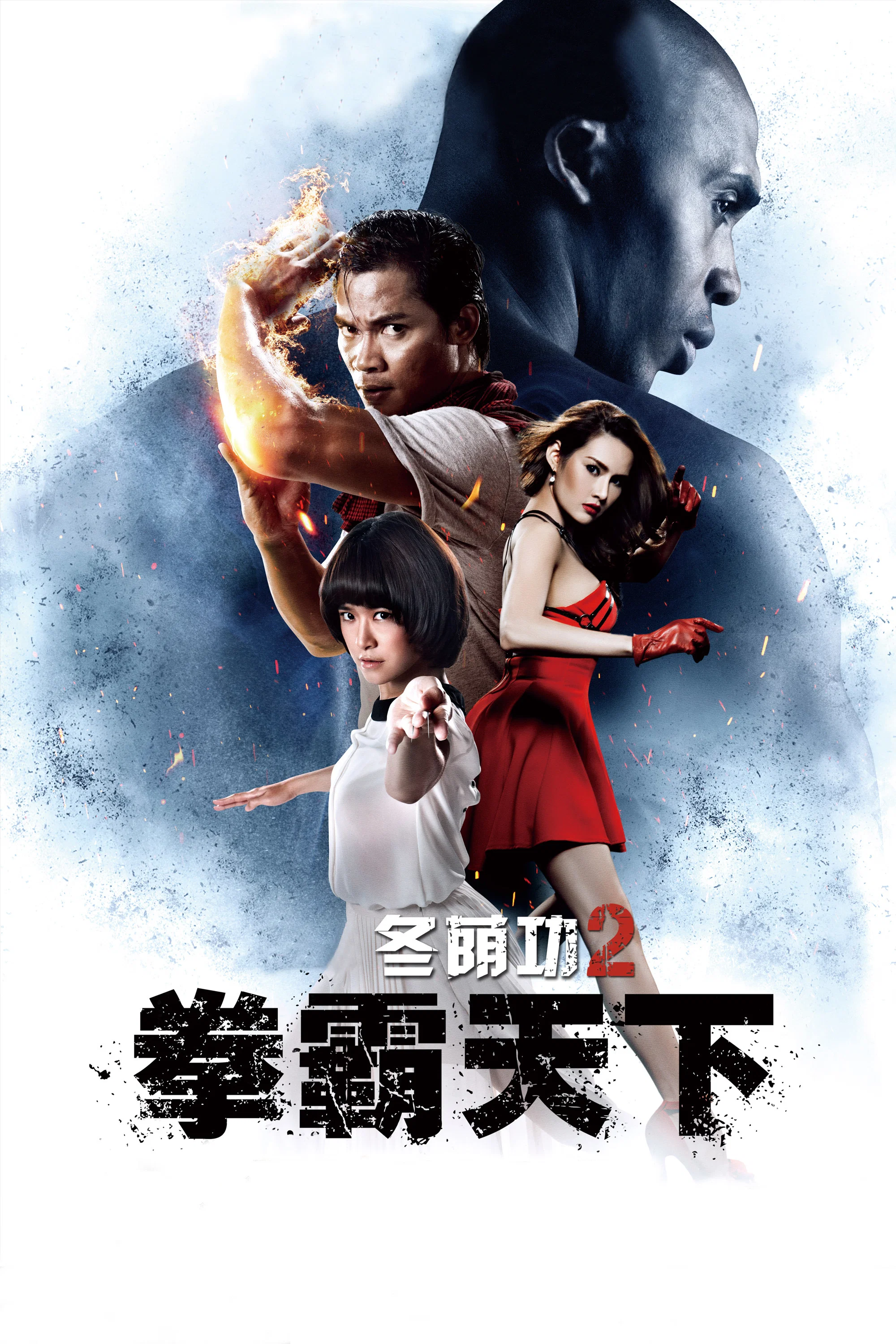 《冬荫功2:拳霸天下》海报