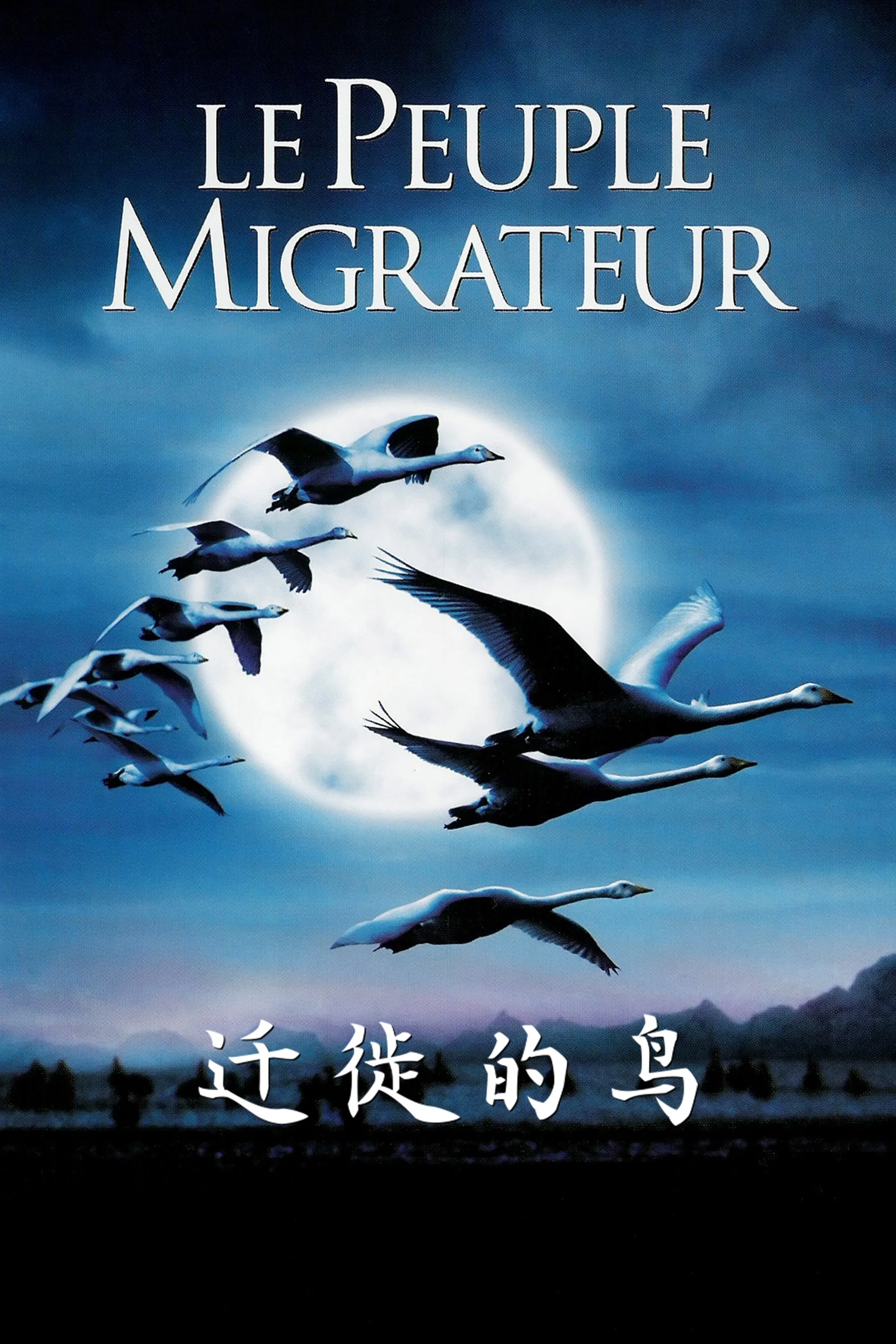 《迁徙的鸟》海报