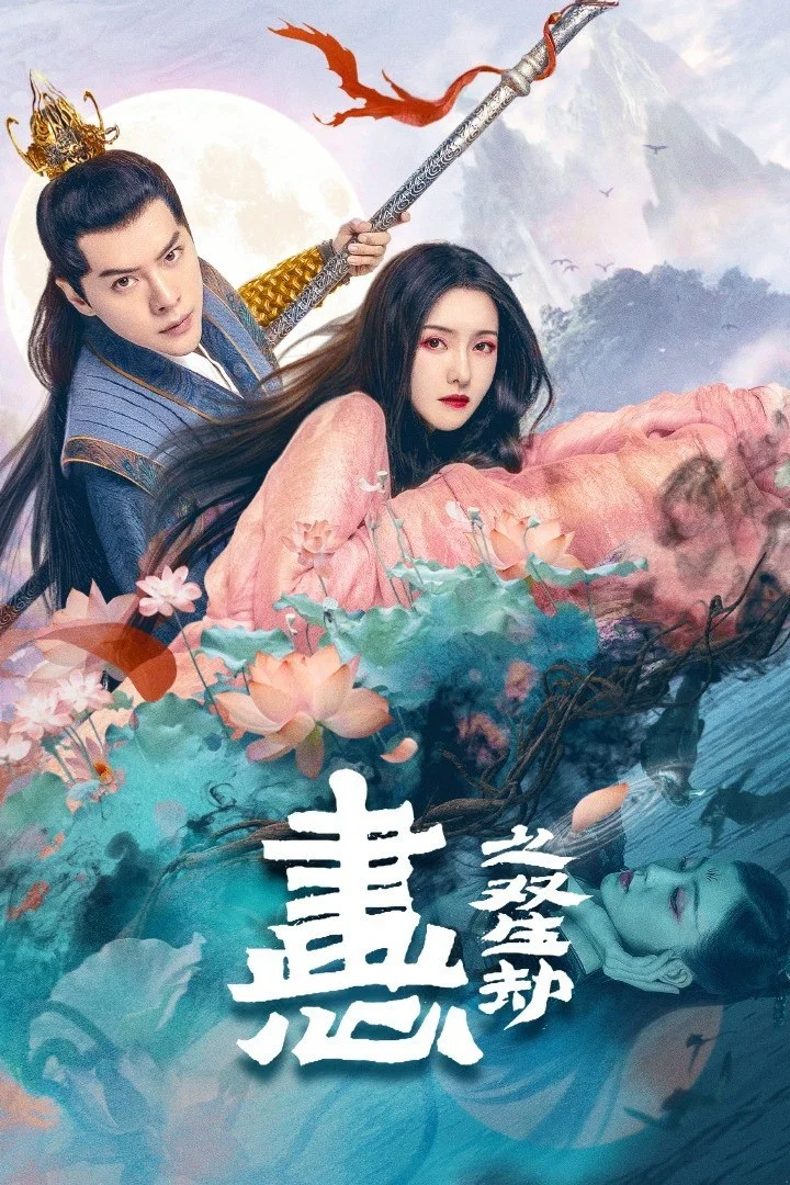 《画心之双生劫》海报