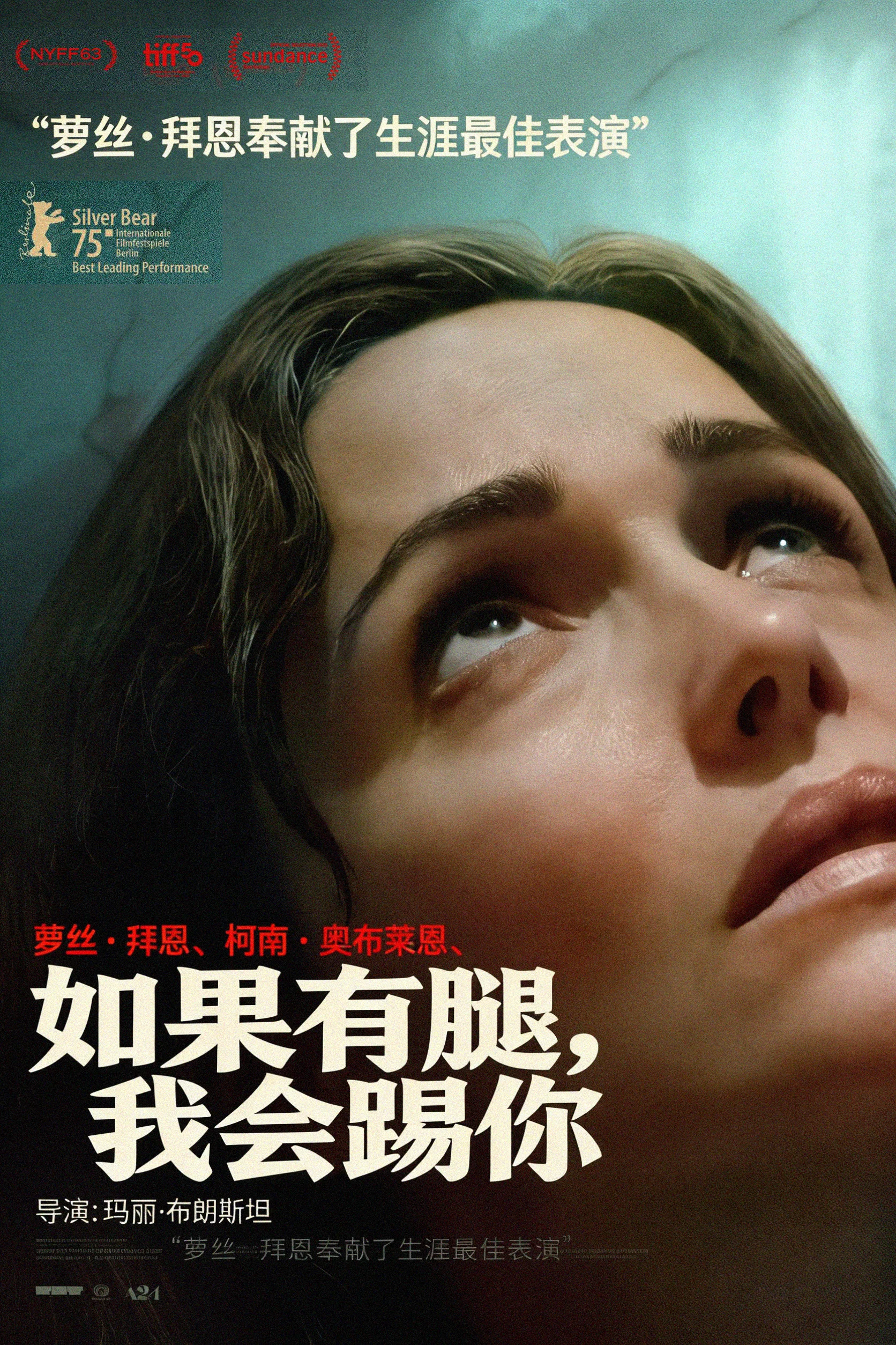《如果有腿，我会踢你》海报