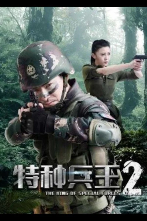 《特种兵王2使命抉择》海报
