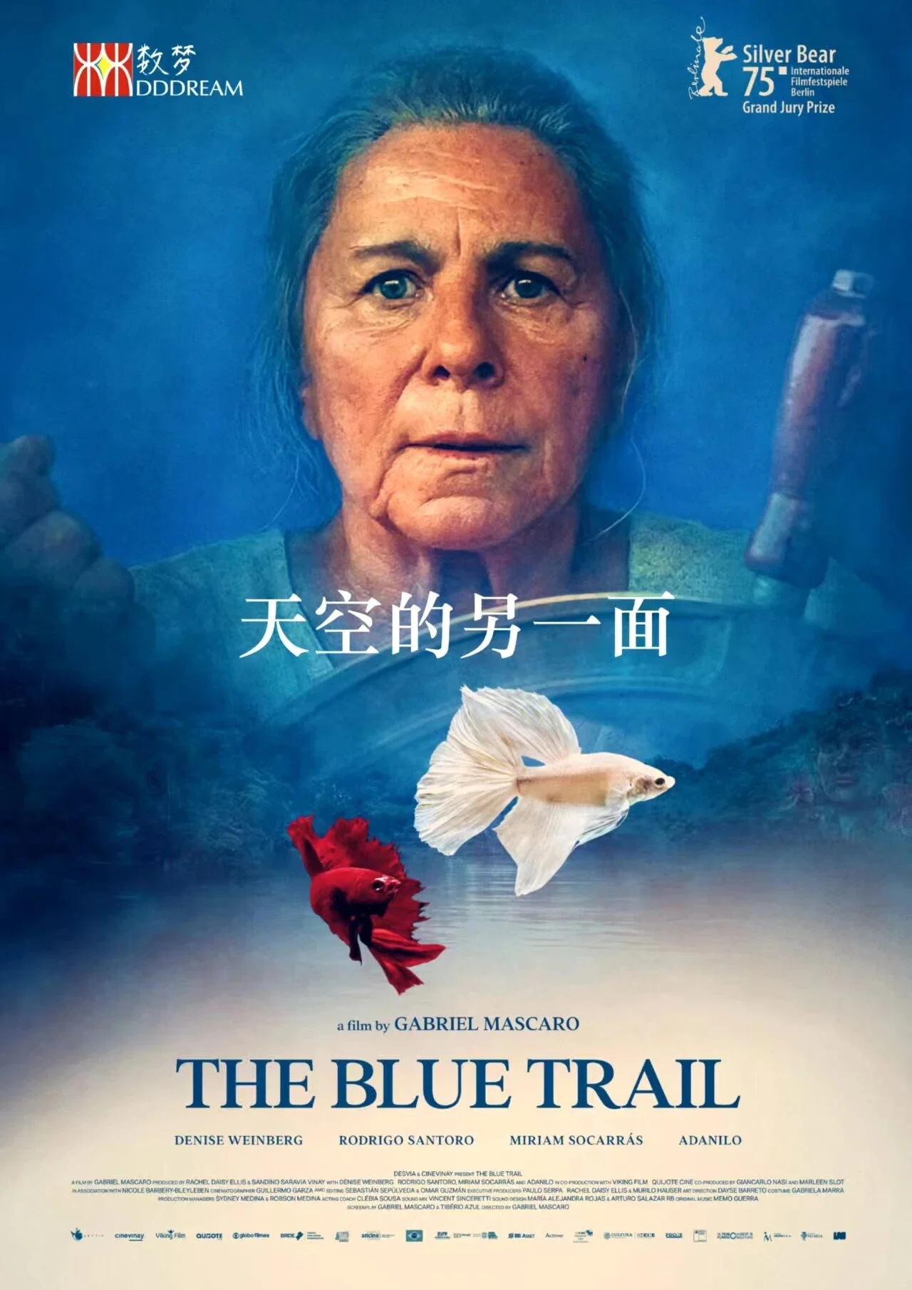 《天空的另一面》海报