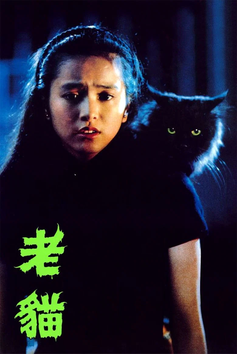 《卫斯理之老猫》海报
