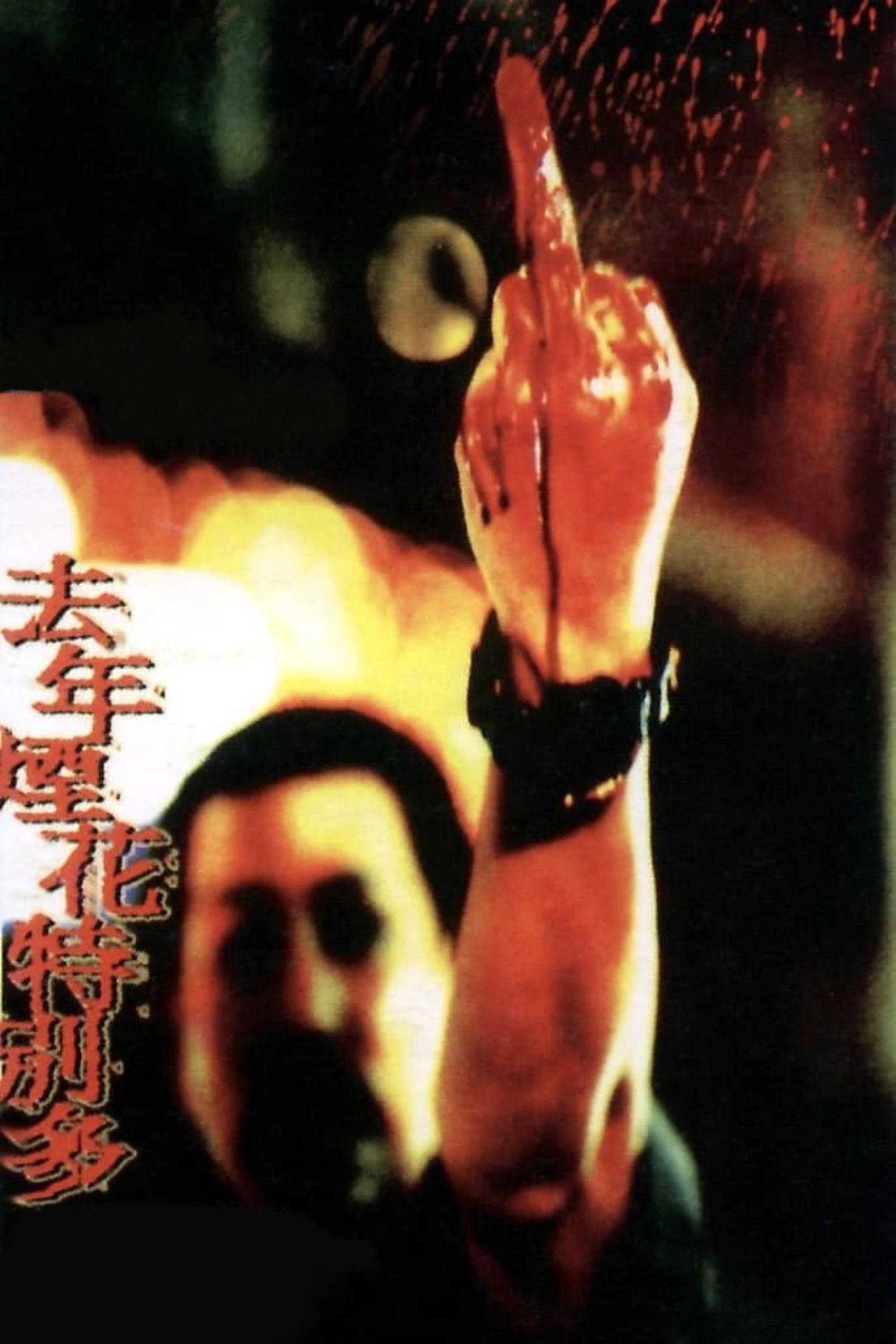 《去年烟花特别多》海报
