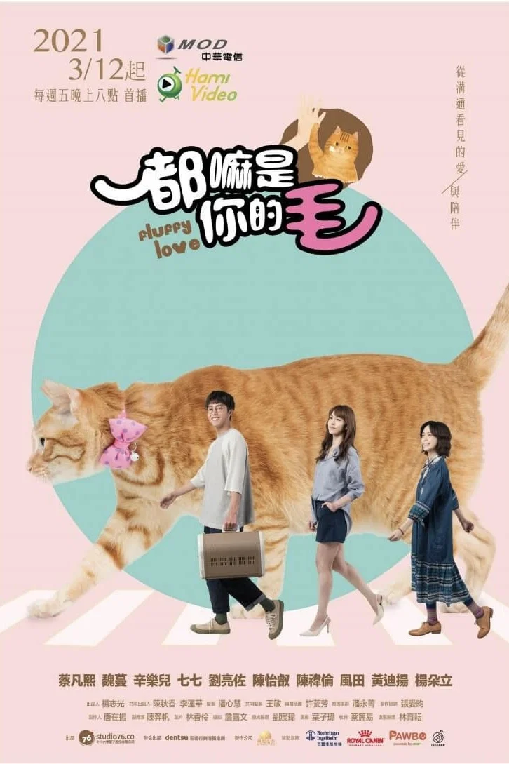 《如果主子会说话》海报