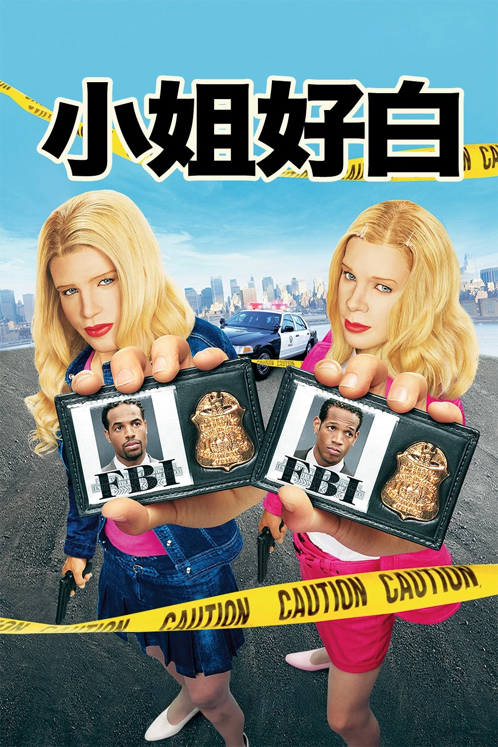 《小姐好白》海报