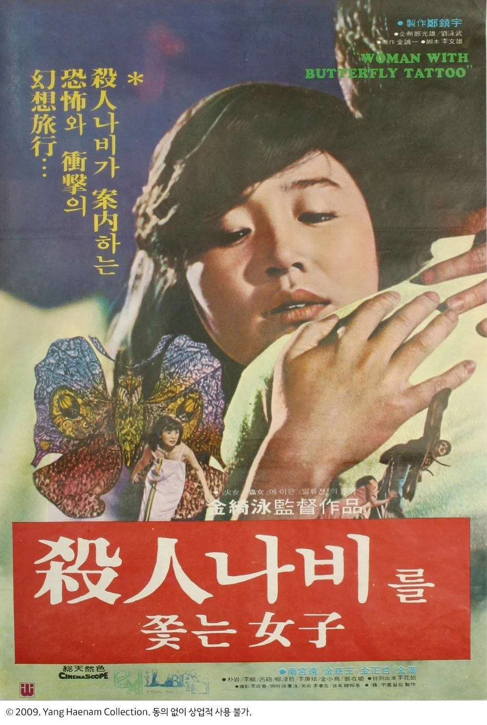 《追逐杀人蝶的女孩》海报