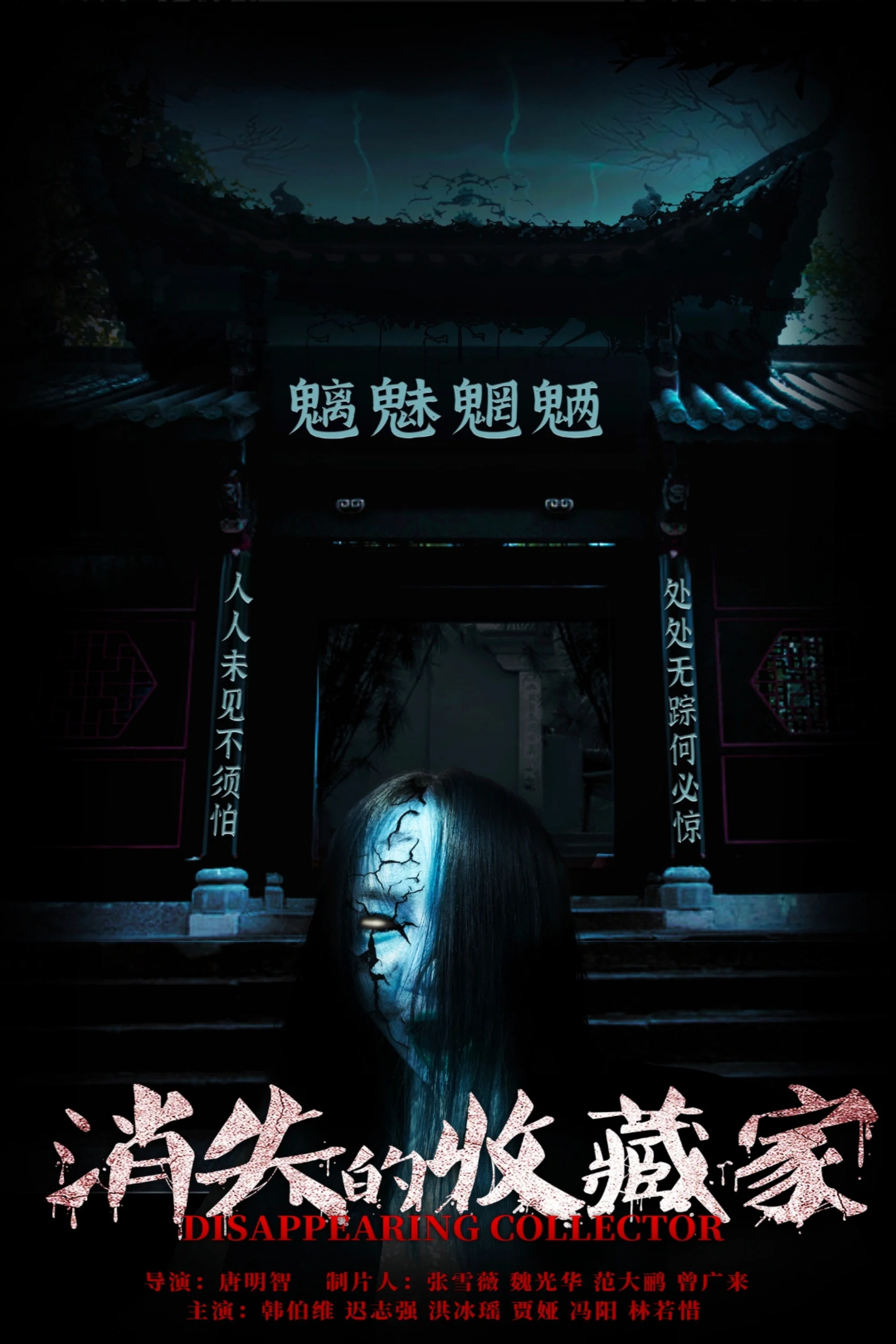 《消失的收藏家》海报
