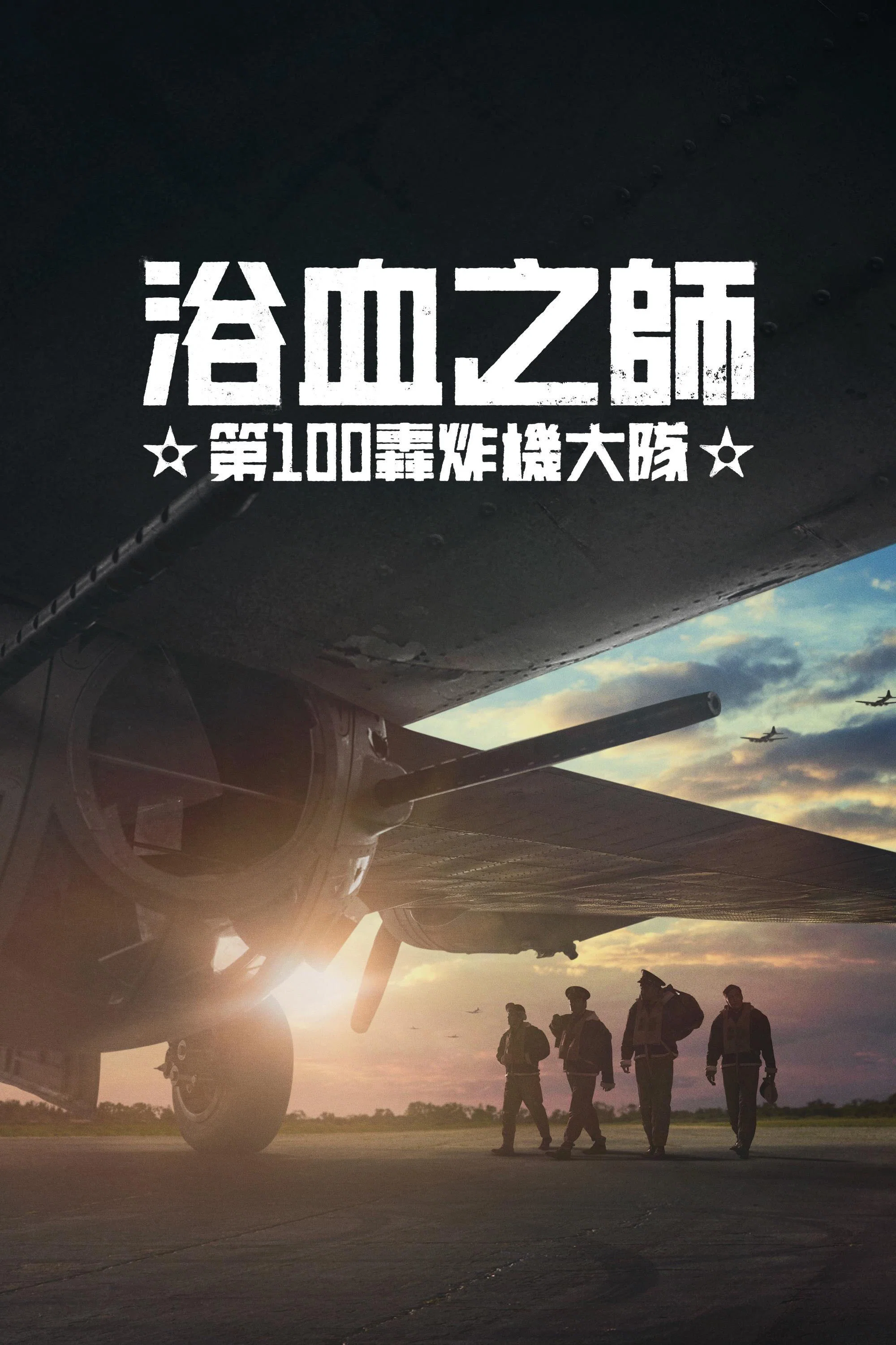 浴血之师：第100轰炸机大队封面图