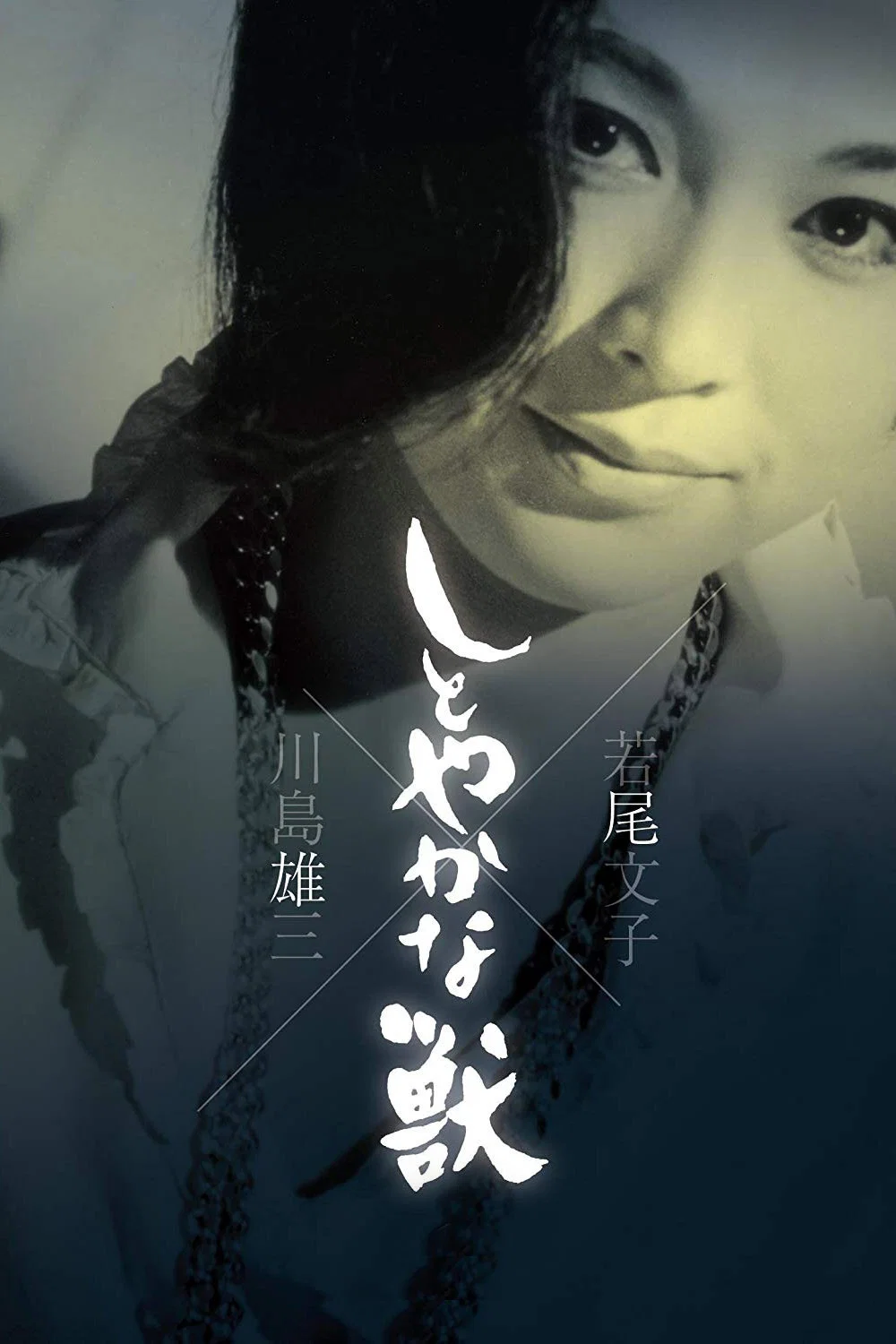 《安详之兽》海报