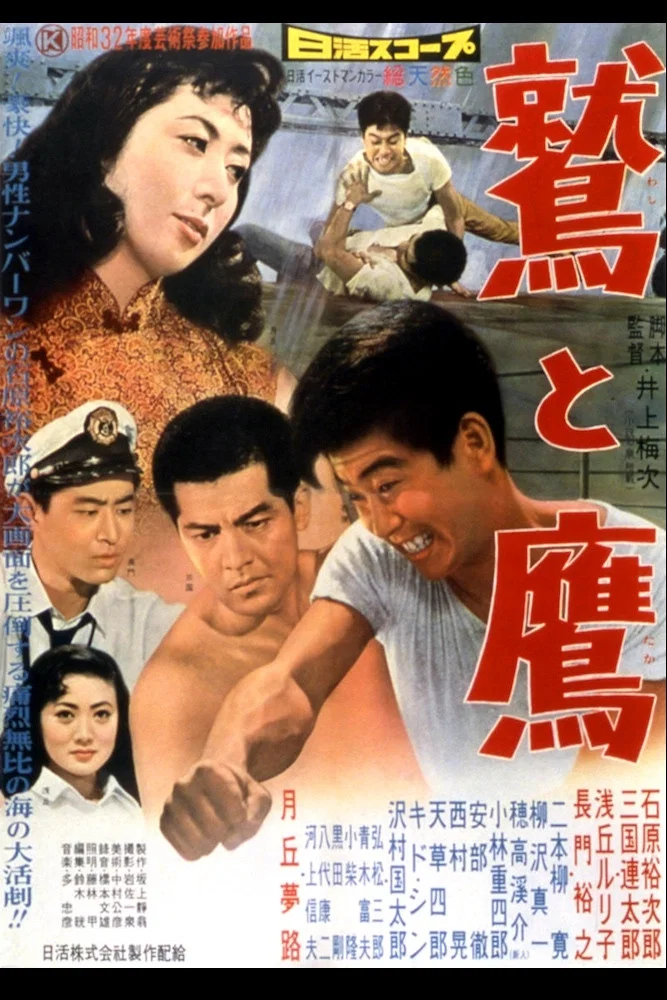 鹫与鹰