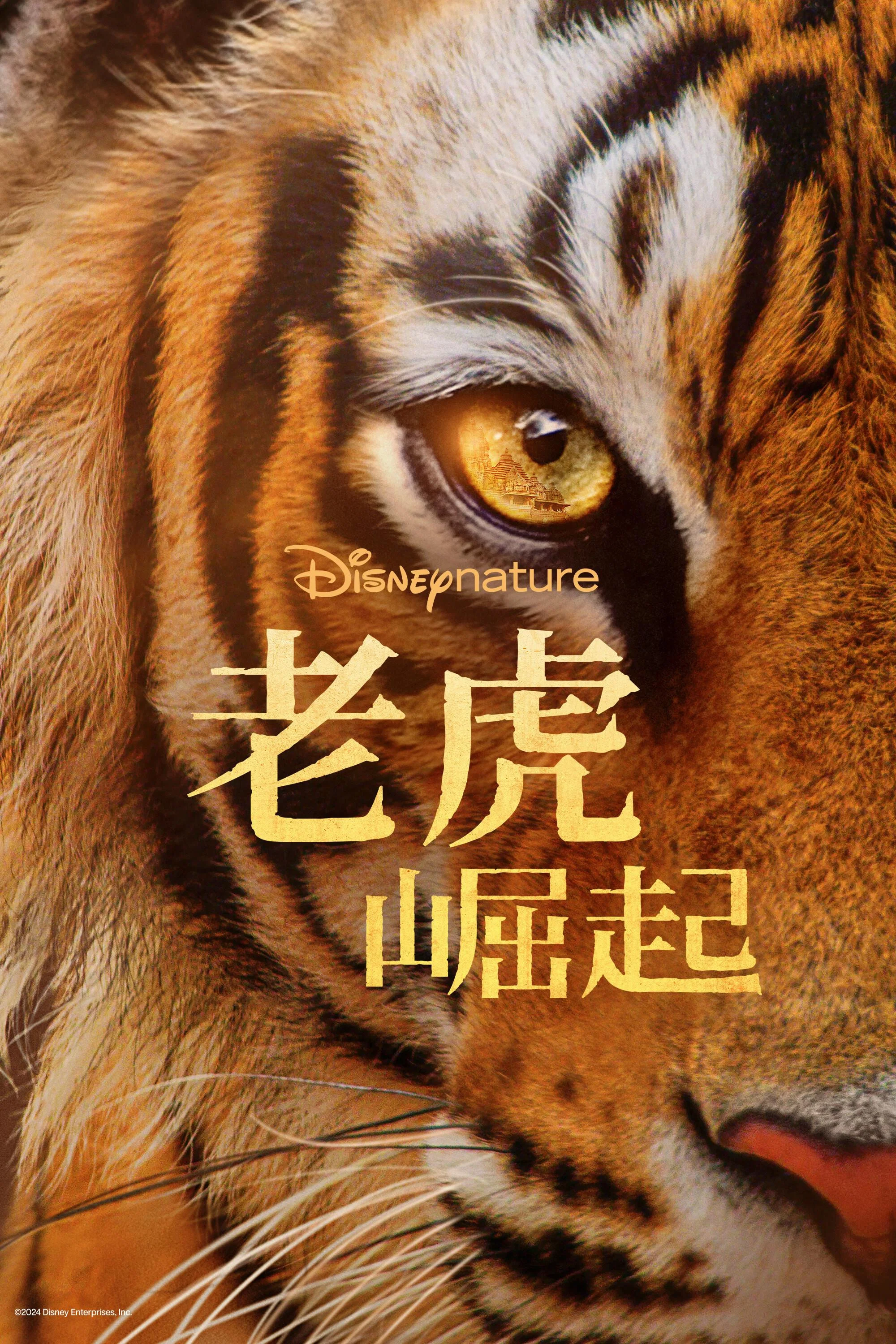 《老虎崛起》海报