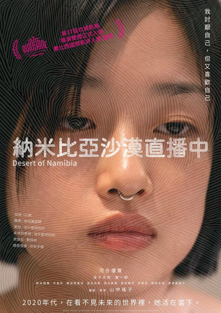 《纳米比亚的沙漠》海报