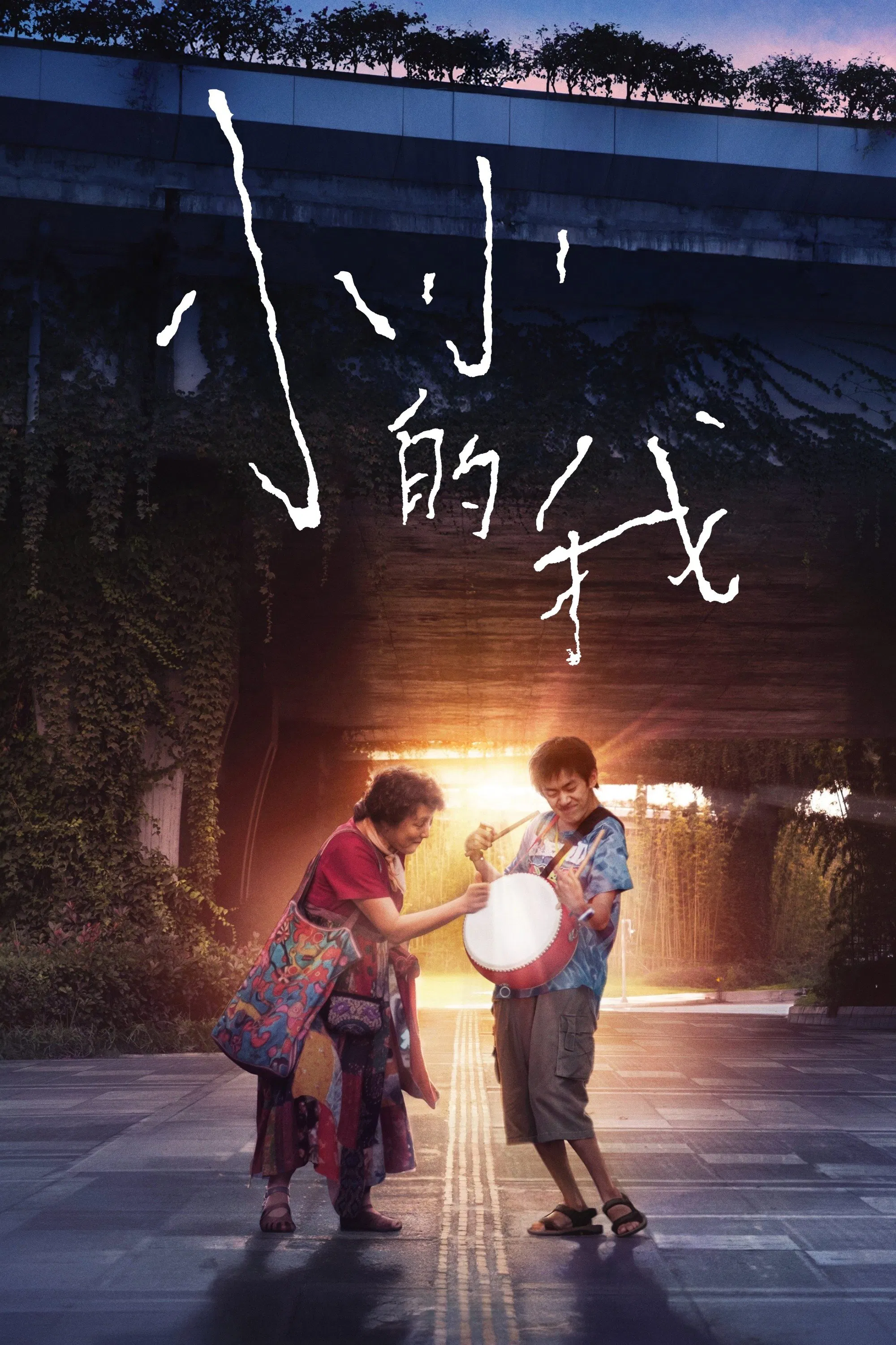 《小小的我》海报