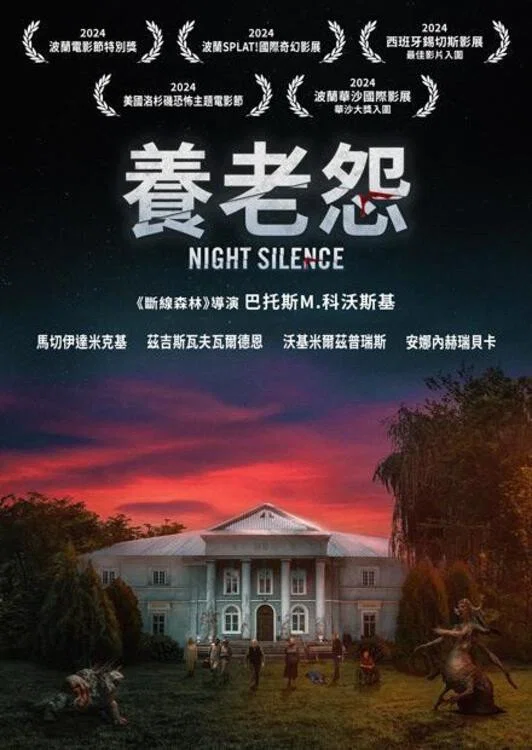 《寂静之夜》海报