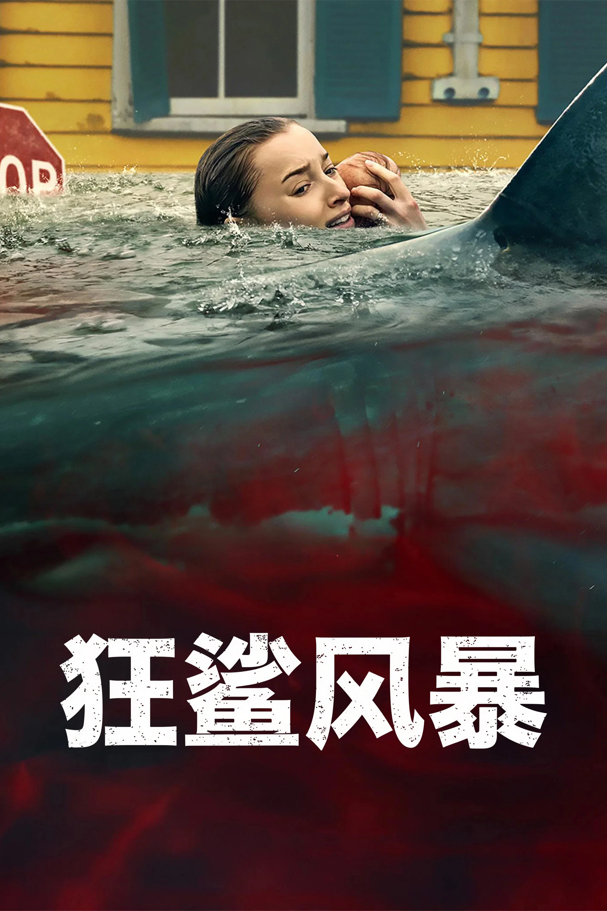 《狂鲨风暴》海报