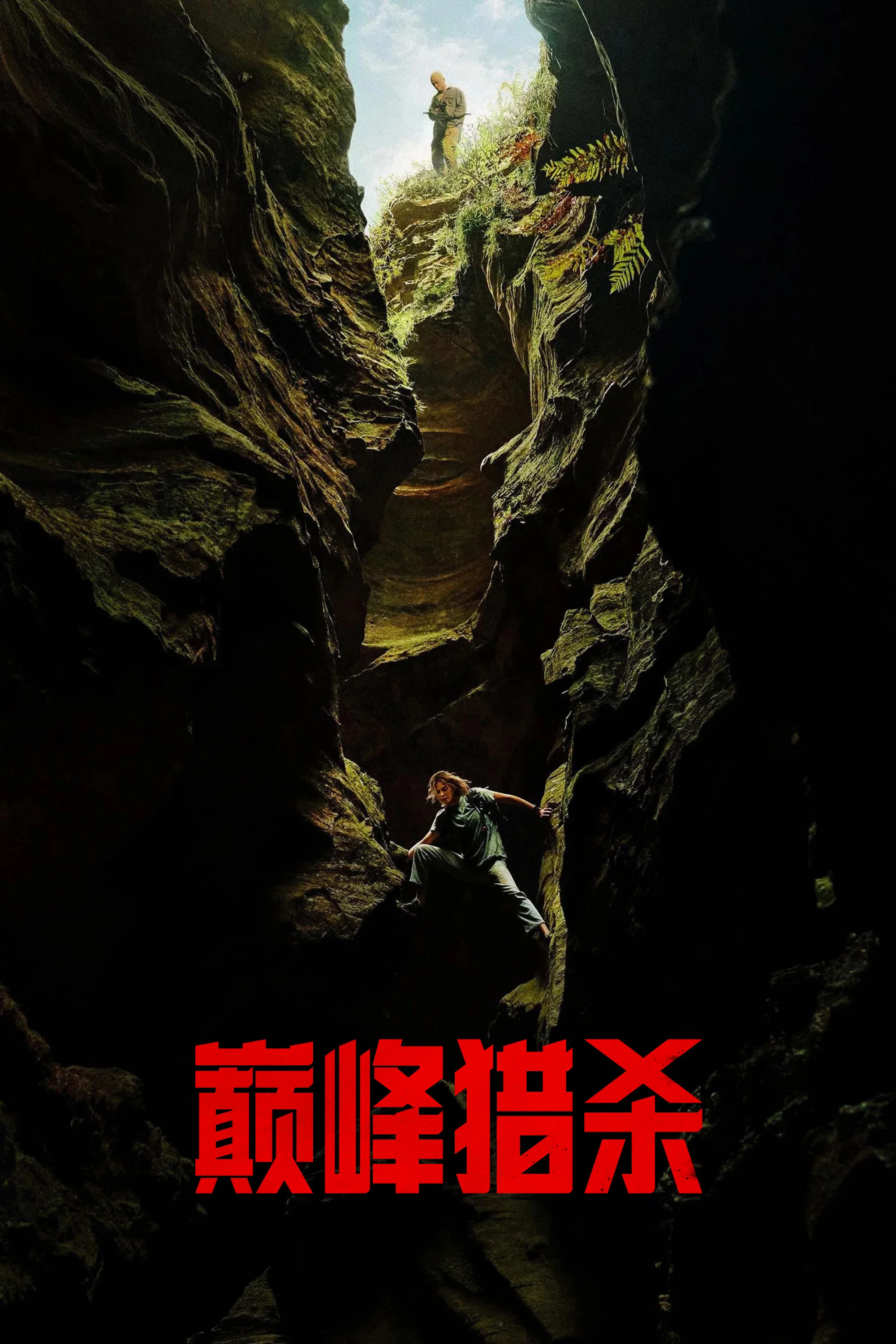 《巅峰猎杀》海报