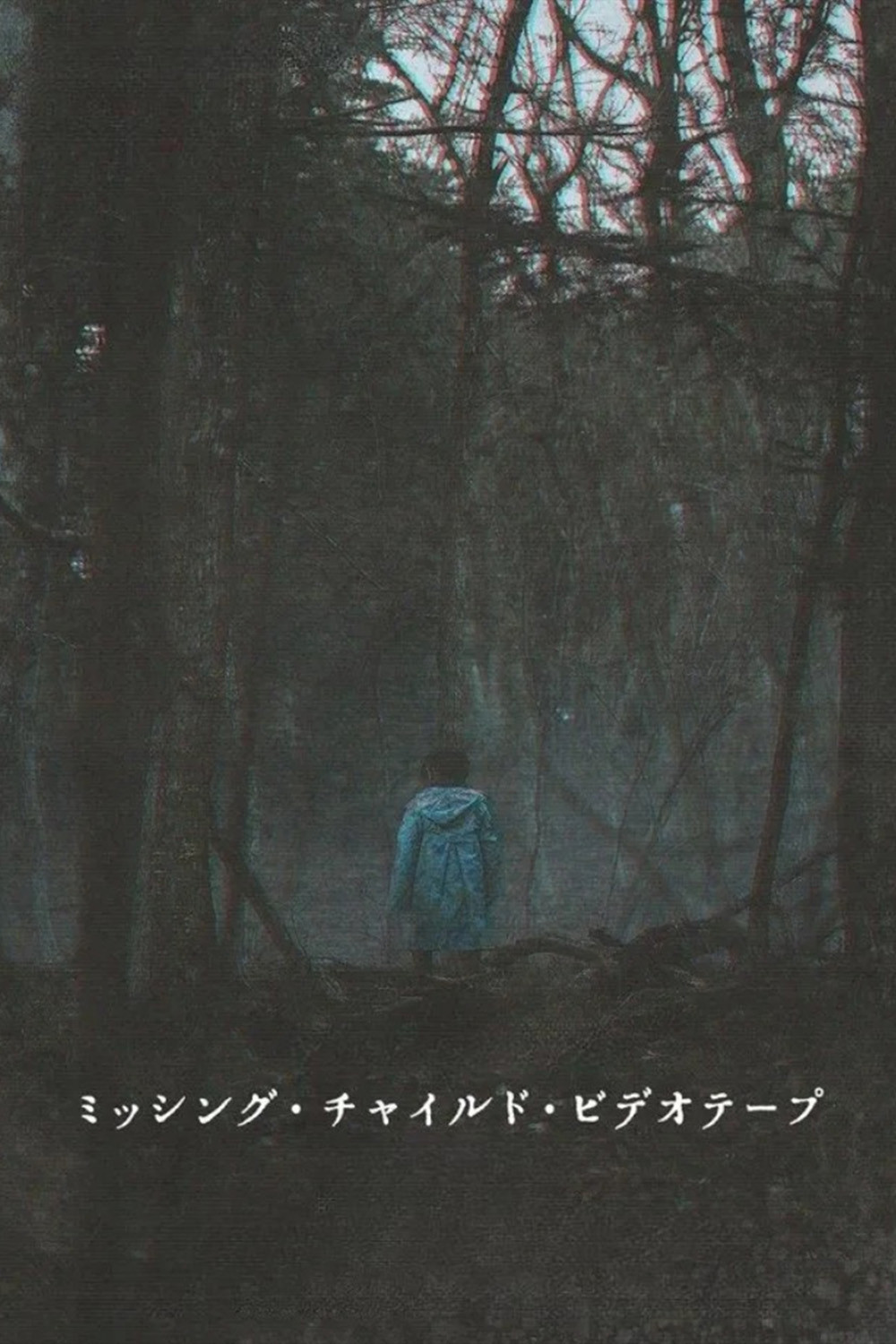 《失踪儿童录像带》海报